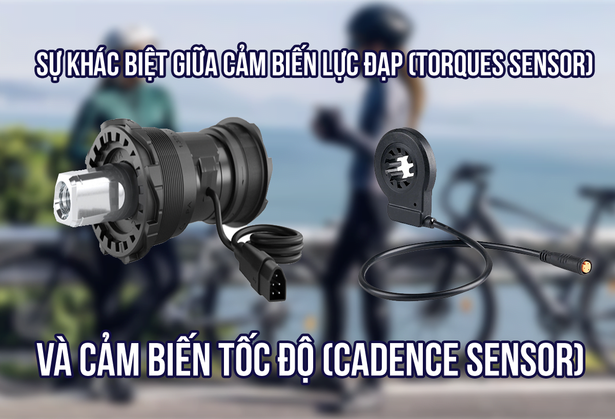 untitled-1_abc345d7-388d-476c-b099-205ce4d1ae42